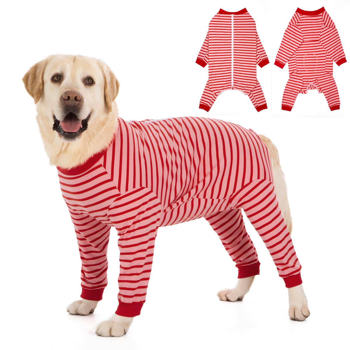 Yeapeeto Dog Onesie vue générale montrant le vêtement confortable pour chien