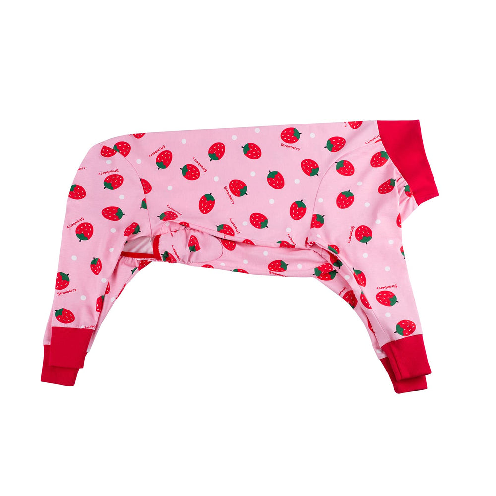 Yeapeeto ensemble complet chien, chaleur et confort post opératoire.