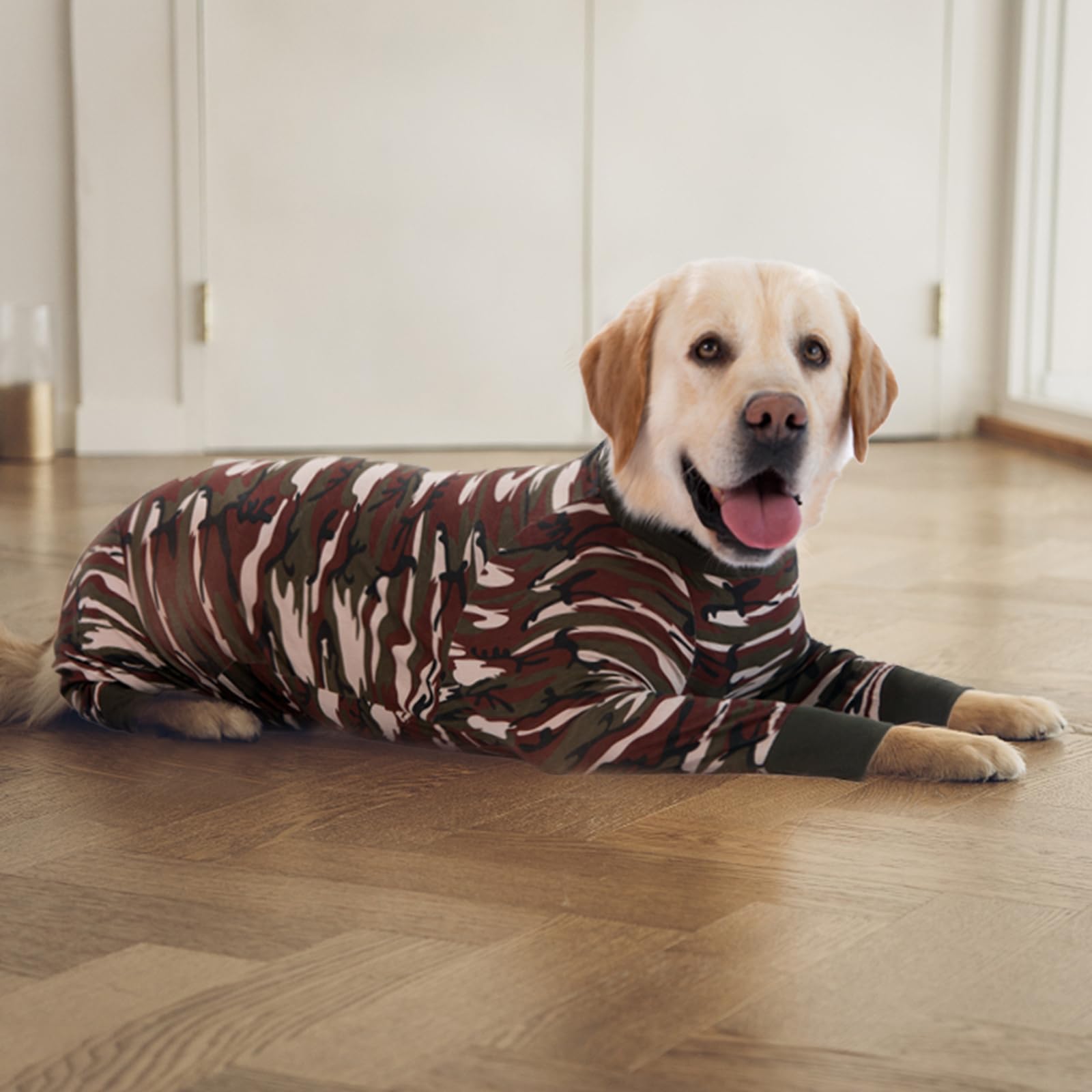 Yeapeeto guide-tailles récupération chiens, aide à choisir la bonne taille