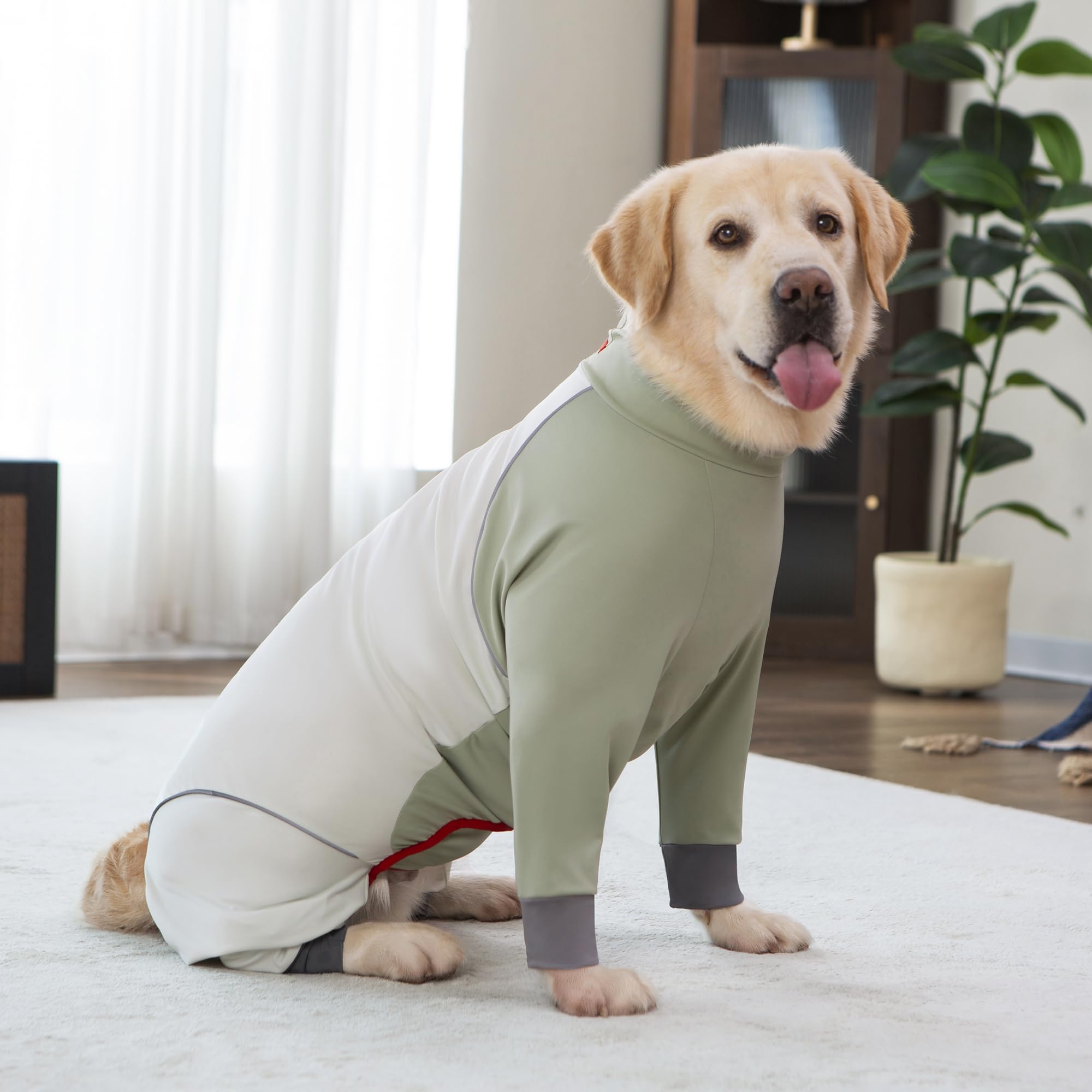 Yeapeeto manteau chien bandes réfléchissantes, meilleure visibilité en soirée et en forêt.