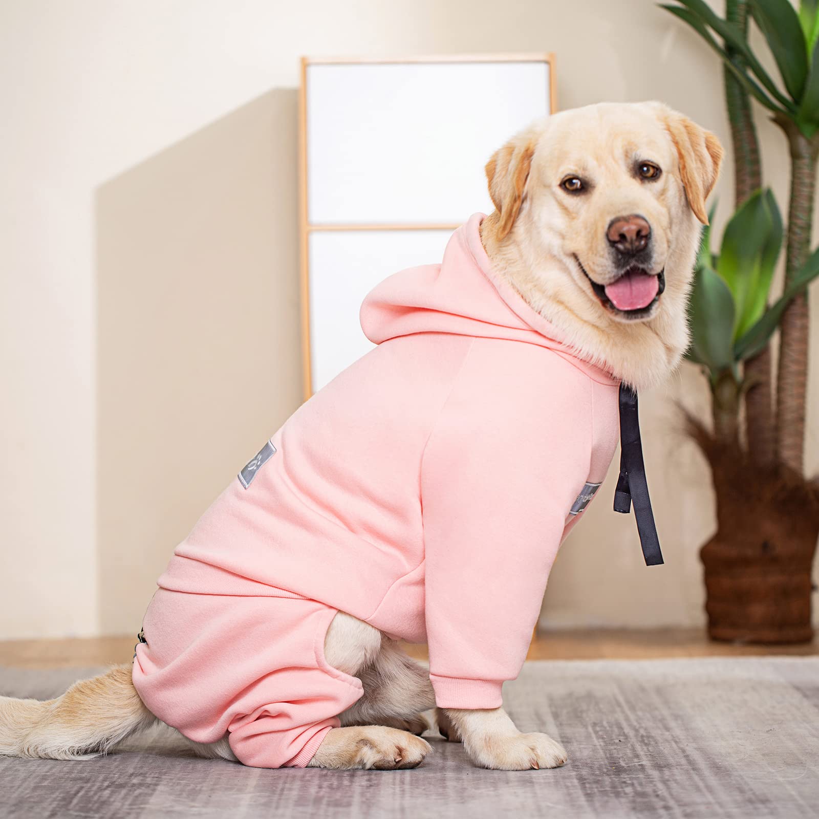 Yeapeeto manteau chien hiver 7XL, capuche pratique pour le froid.