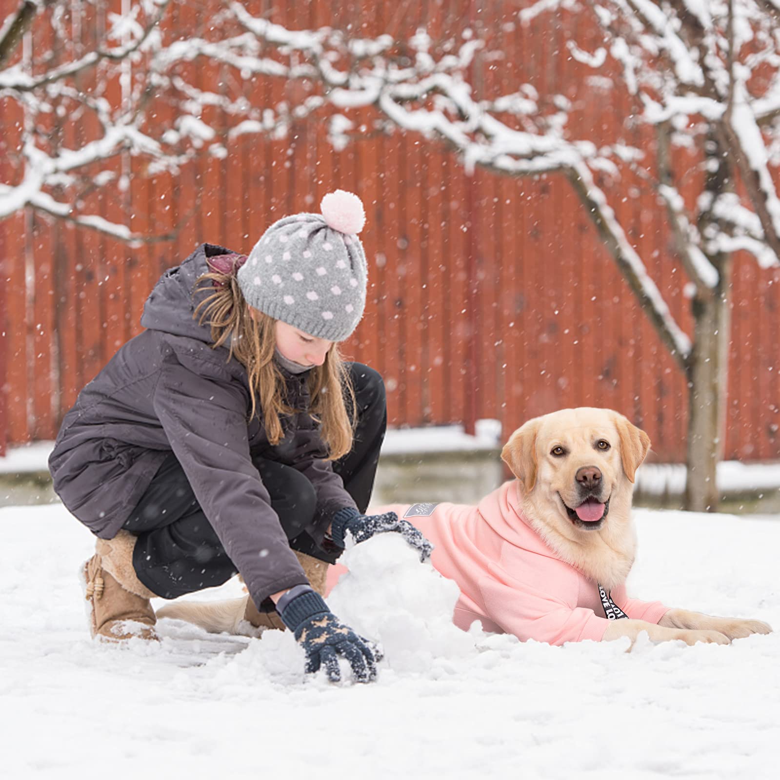 Yeapeeto manteau chien hiver 7XL, lavage en machine facile.