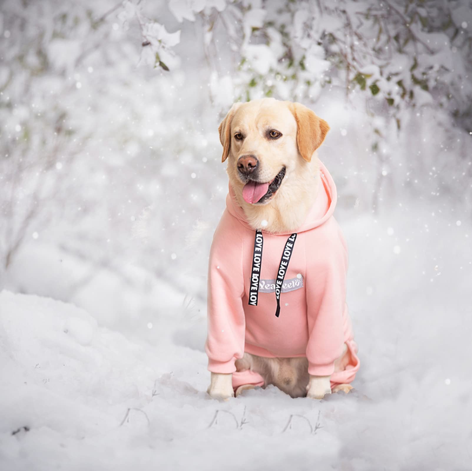 Yeapeeto manteau chien hiver 7XL, patte arrière protégée en douceur.