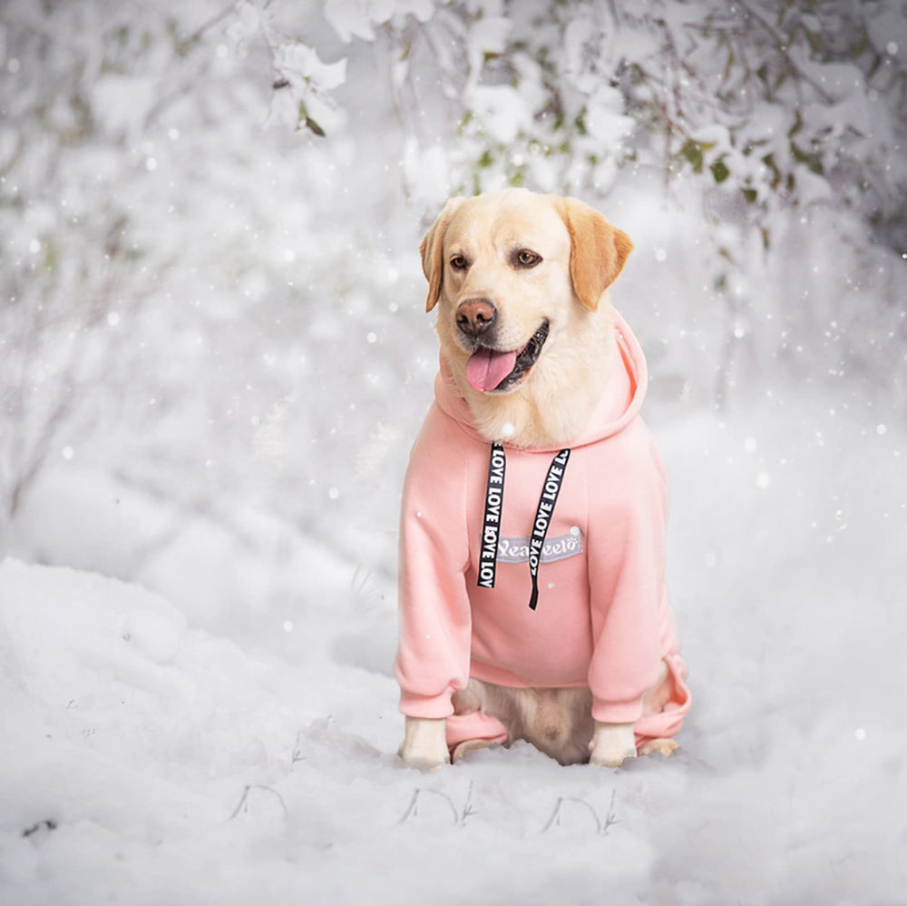 Yeapeeto manteau chien hiver 7XL, patte arrière protégée en douceur.