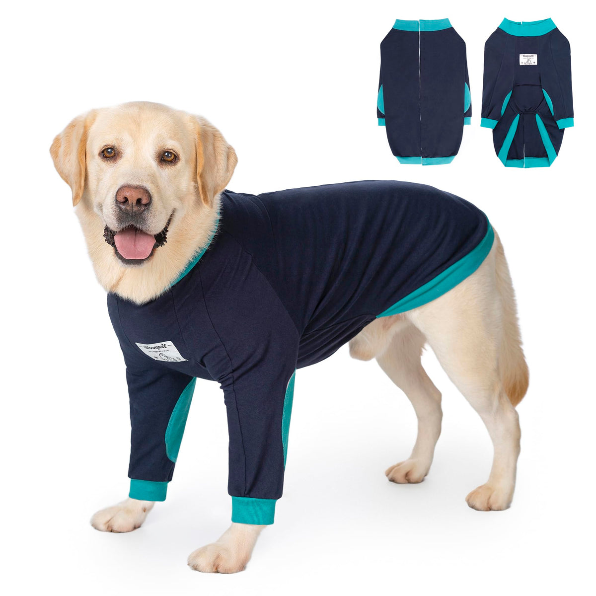 Yeapeeto protection-coude-chien bleu-vert, protège les coudes lors des sorties.
