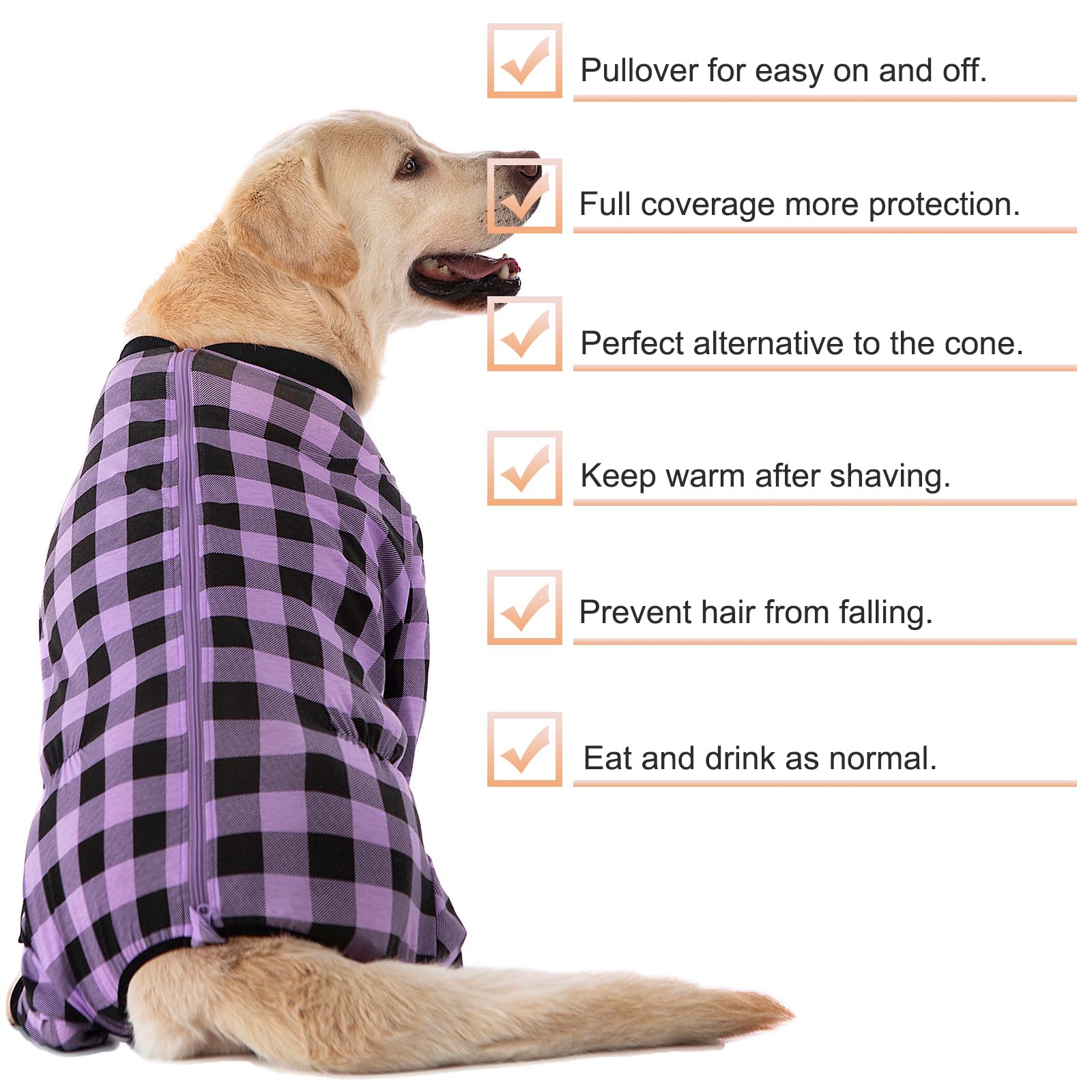 Yeapeeto Recovery Suit, chien grand porté en action