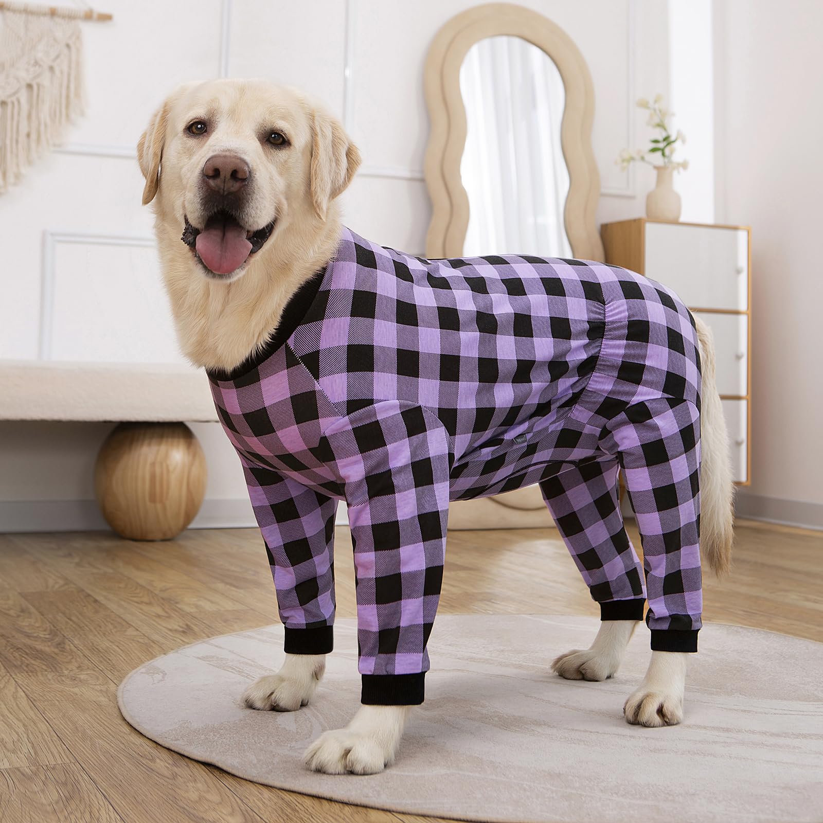 Yeapeeto Recovery Suit, tailles XL à 7XL pour grands chiens