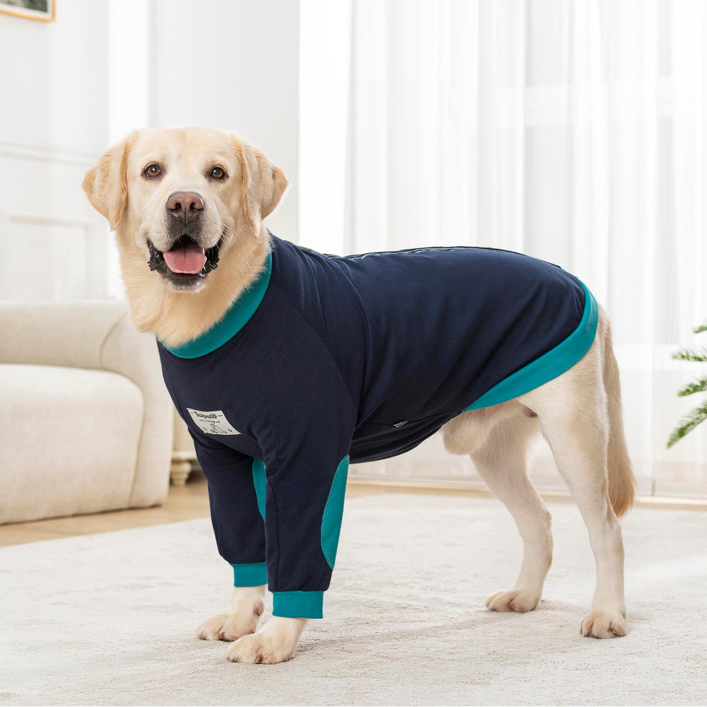 Yeapeeto taille 6XL protection chien bleu-vert, ajuste parfaitement pour grands chiens.