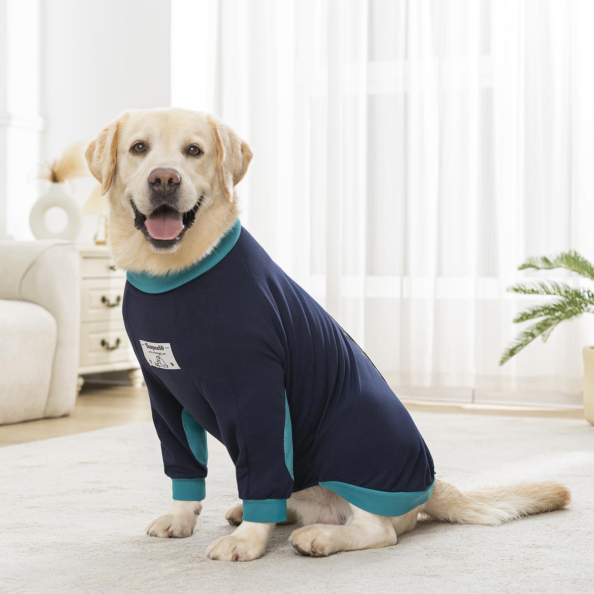 Yeapeeto taille-7xl: ajustement sûr pour Labradors et grandes races