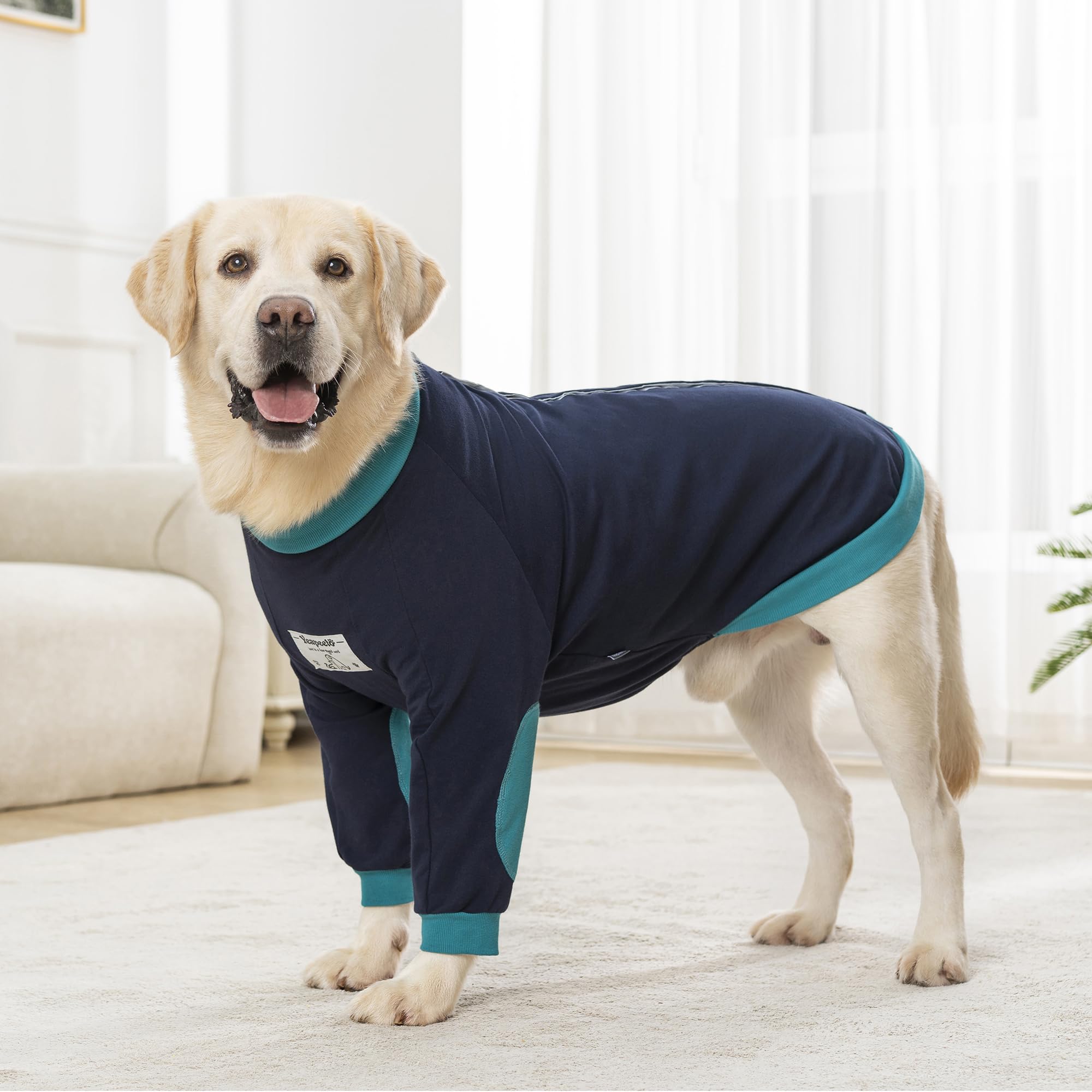 Yeapeeto taille adaptée pour chiens moyens à grands.