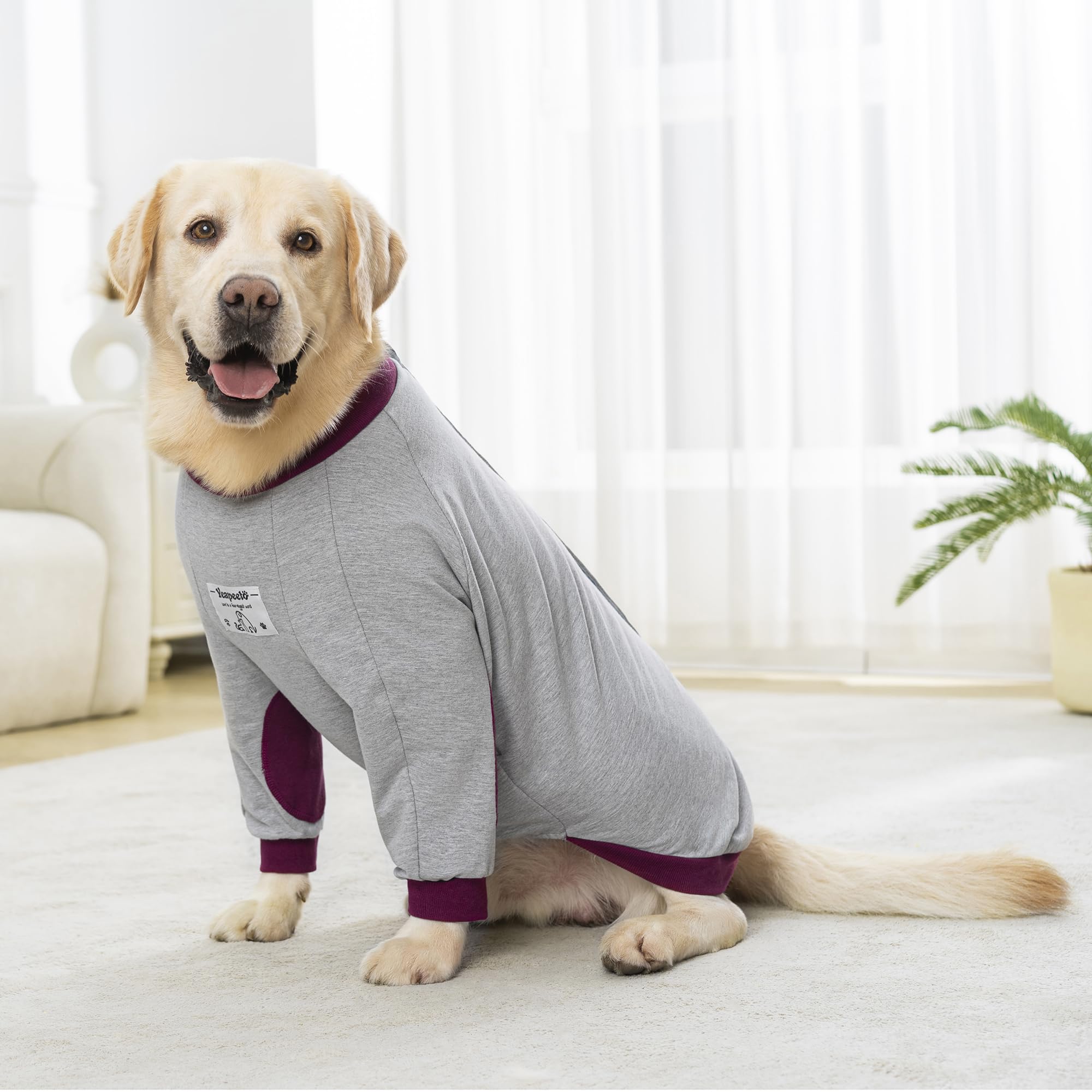 Yeapeeto taille7xl-chien-labrador ajustement securisé et confortable