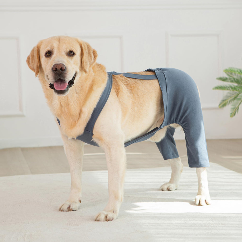 Yeapeeto tailles xl à 7xl disponibles pour chiens moyens et grands.