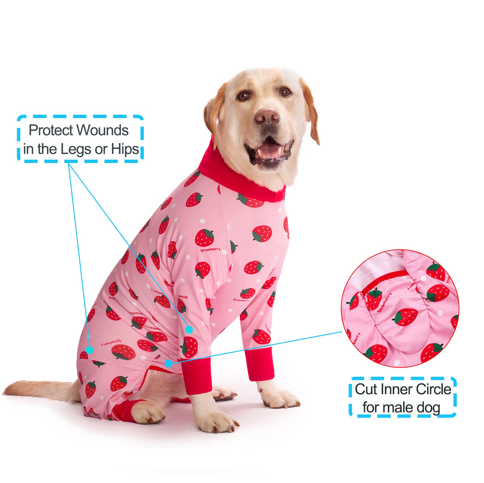 Yeapeeto tissu élastique doux pour chien, mobilité sans contrainte.
