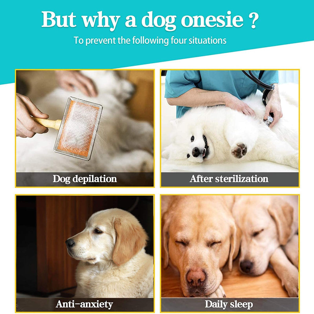 Yeapeeto usage intérieur et extérieur pour chien en convalescence.