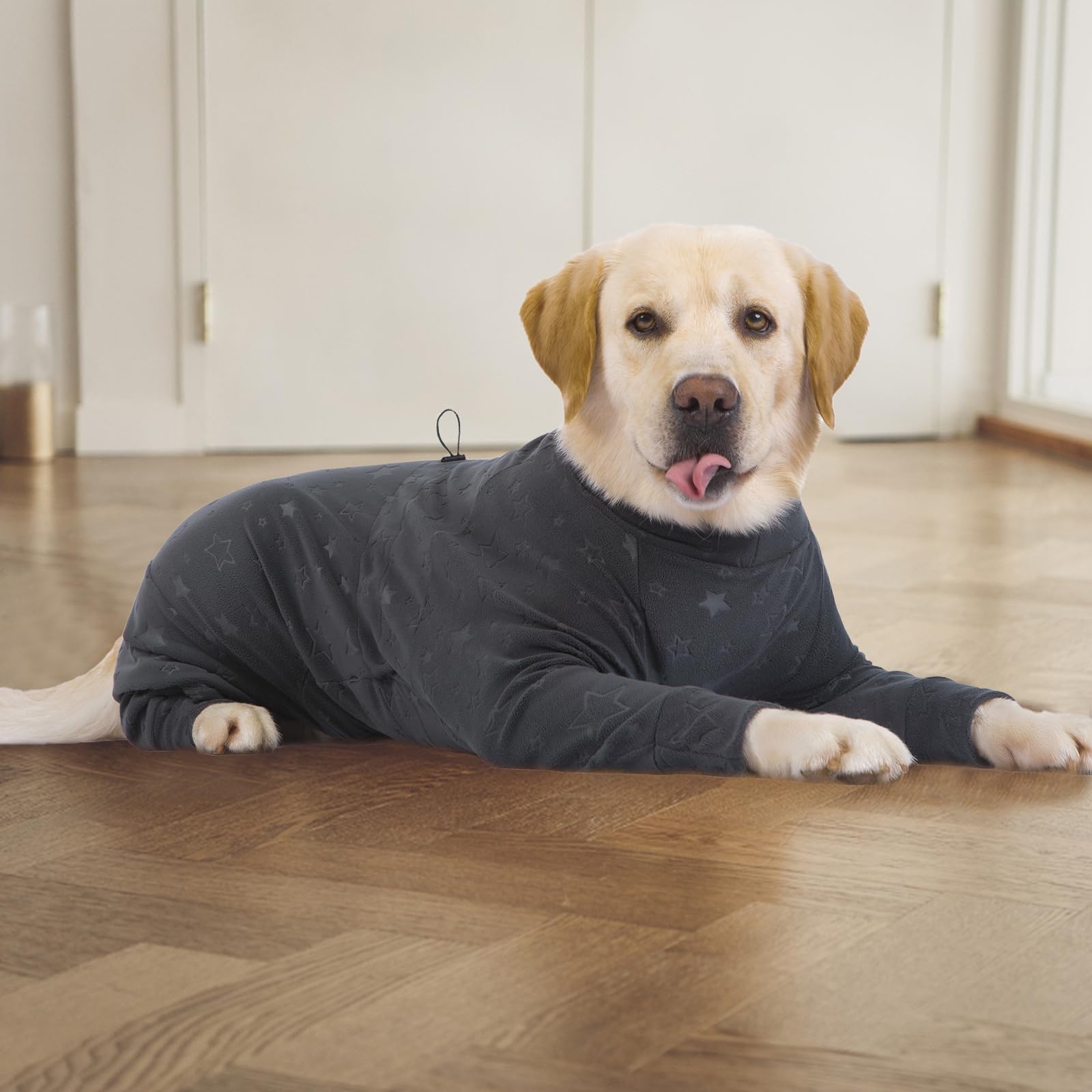 Usage intérieur et extérieur Yeapeeto, vêtement polyvalent pour chien.