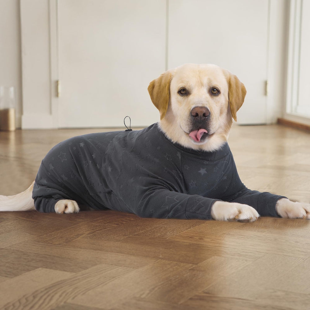 Usage intérieur et extérieur Yeapeeto, vêtement polyvalent pour chien.