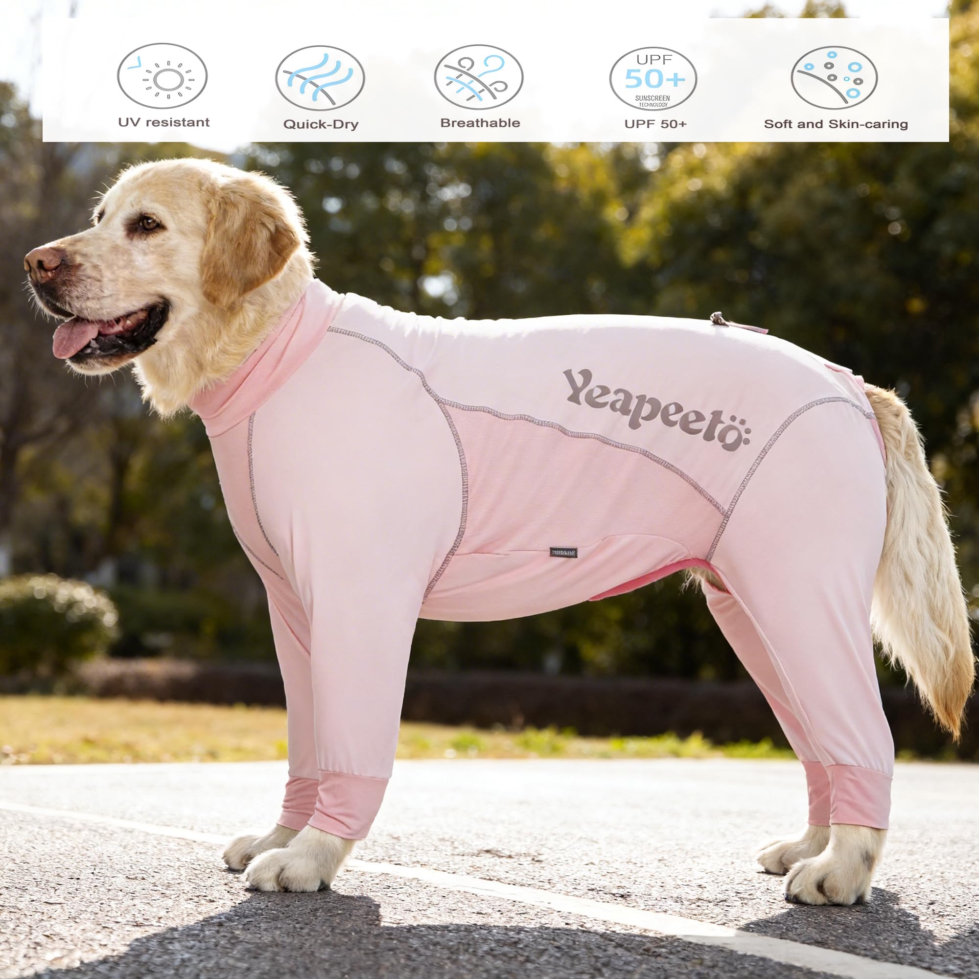 Yeapeeto utilisation-exterieur-activites-chien-rose: idéal pour randonnées, plage et jeux en plein air.