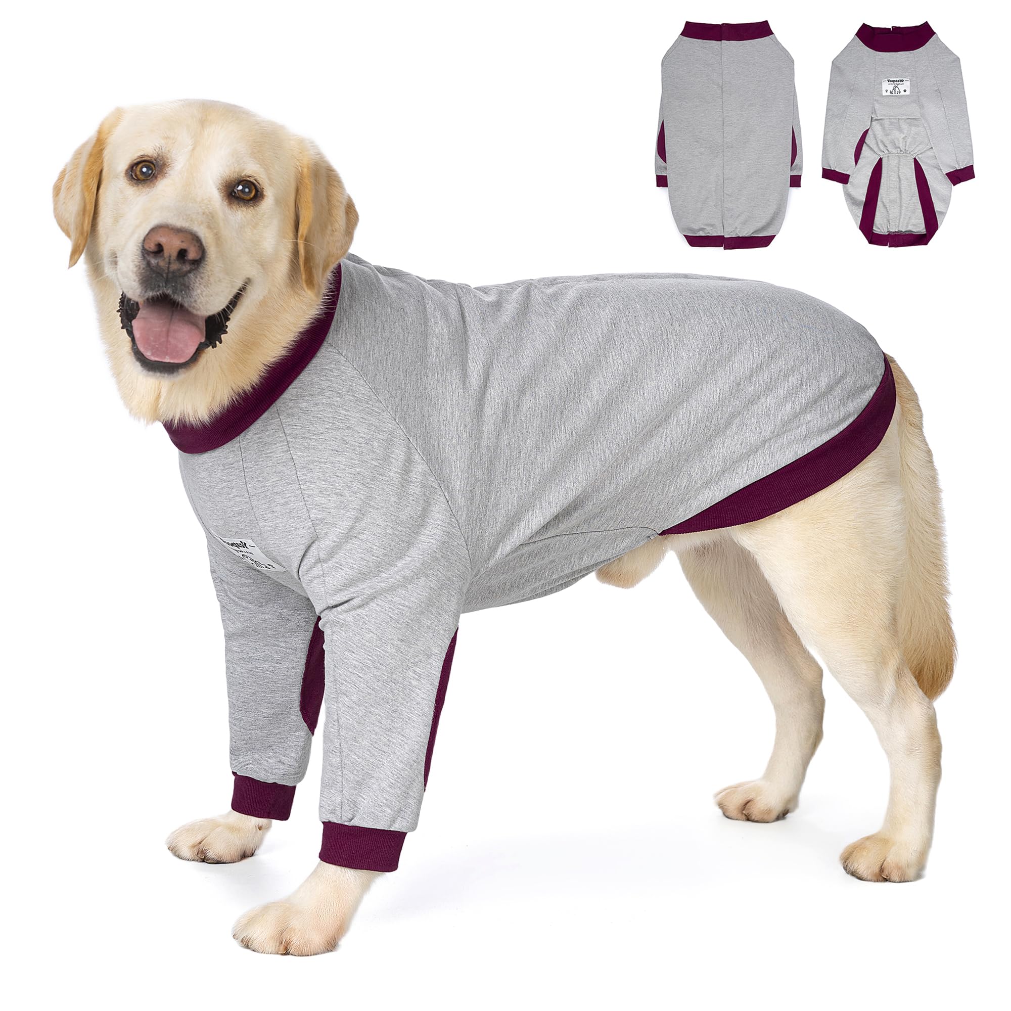 Yeapeeto veste récupération chien coudes devant offre confort et soutien pendant la convalescence