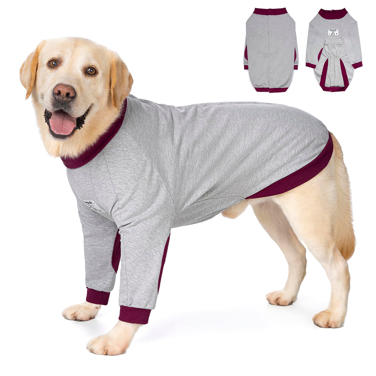 Yeapeeto veste récupération chien coudes devant offre confort et soutien pendant la convalescence