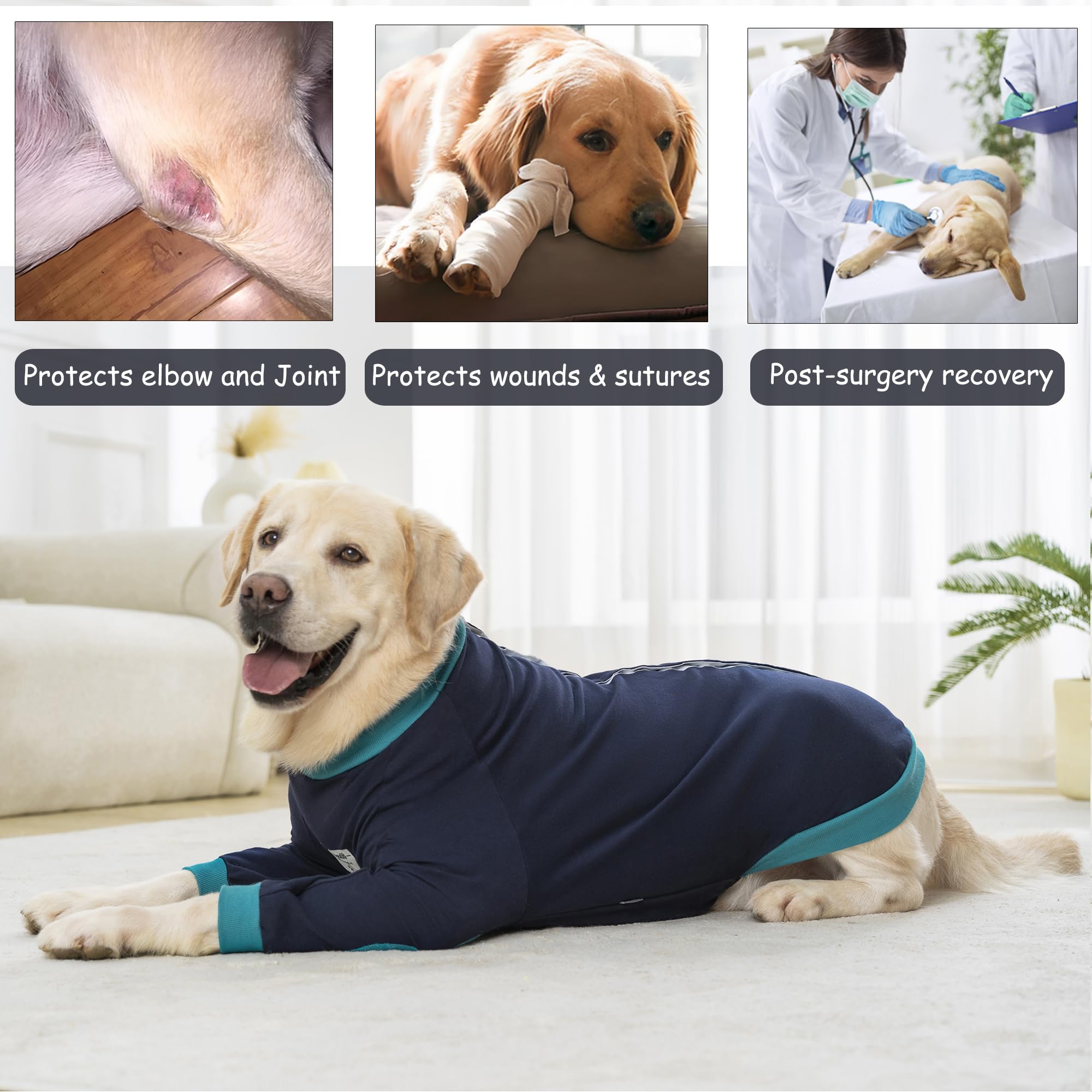 Yeapeeto vetement récupération chien bleu-vert, vêtement idéal après chirurgie.