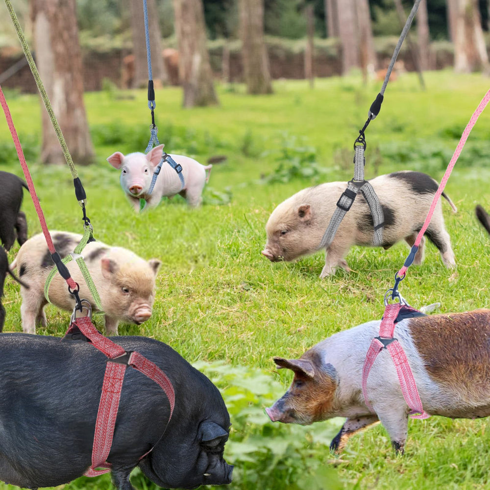 Laisse infini YeeBeny porcs rose, longueur ajustable pour jogging.