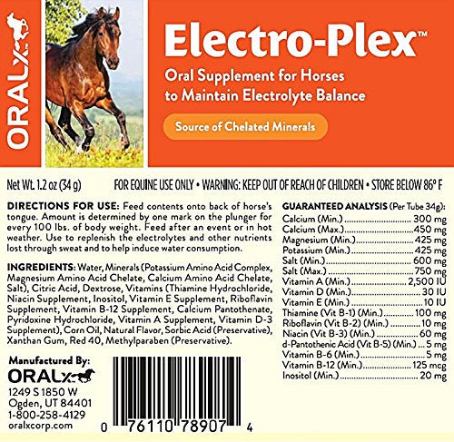 DAONEG Pâte électrolytique pour chevaux — seringue 34 g pour dosage précis.