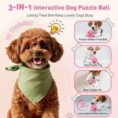 Kit bricolage YEENER avec moule glace, personnalise les friandises pour votre chien.
