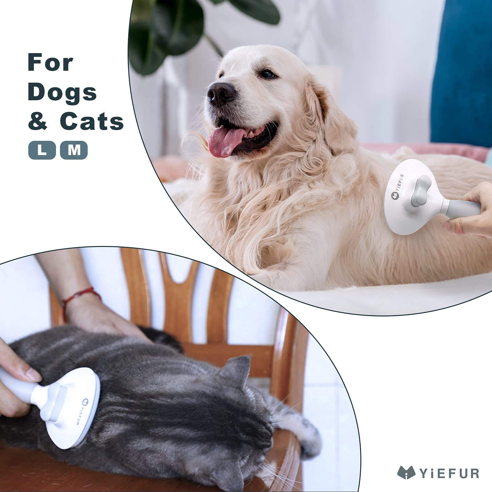 Brosse YiEFUR pour chats — bouton auto-nettoyant, poils faciles à retirer
