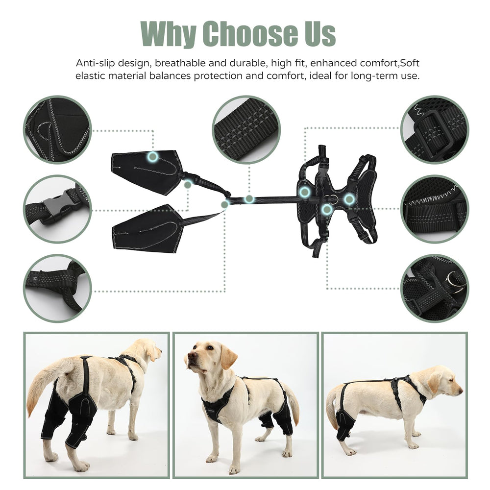 Conception légère et pratique pour les activités extérieures avec votre chien.