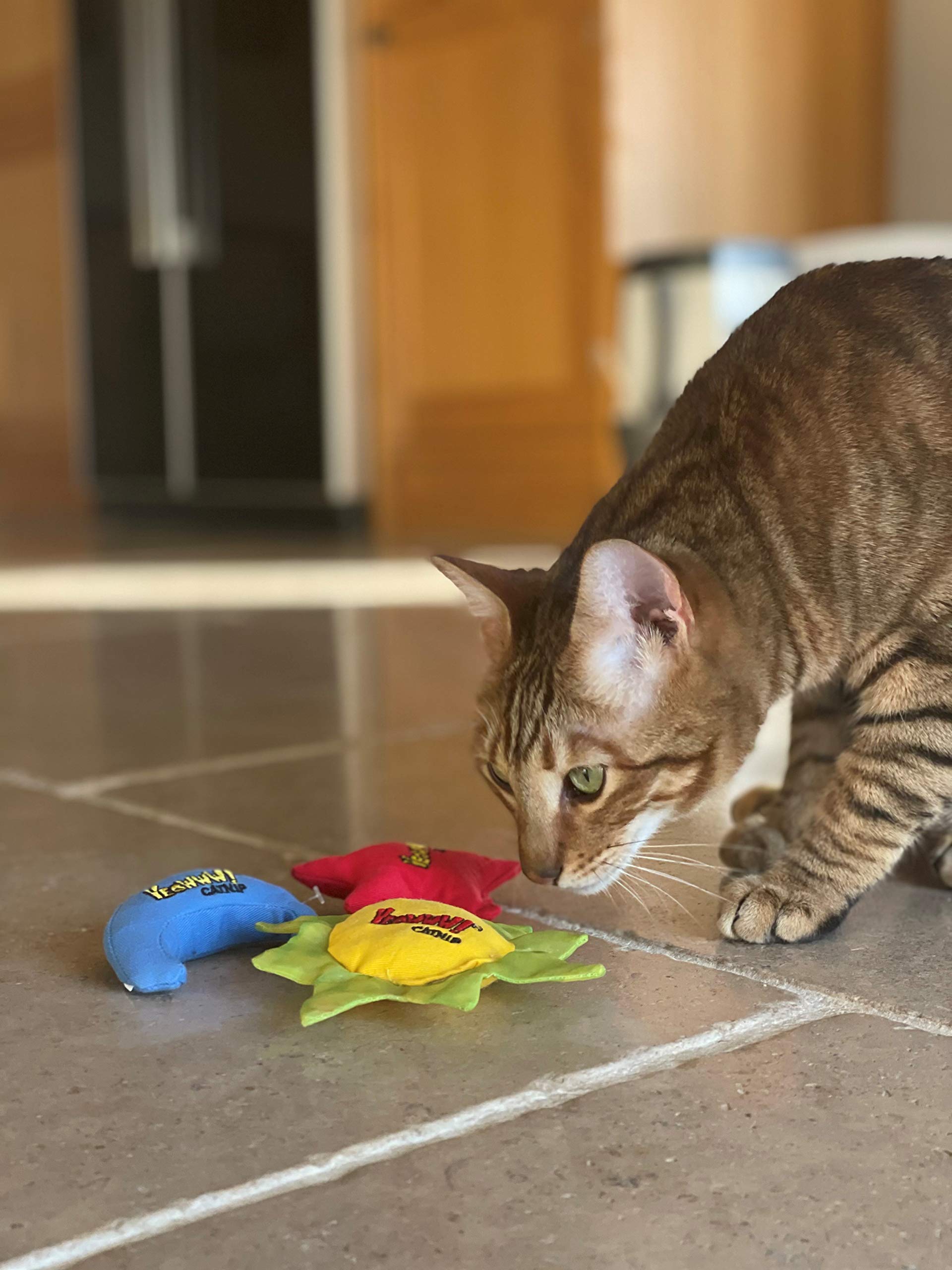 YEOWWW Catnip Toy Playtime - idéal pour sessions interactives et jeu autonome.