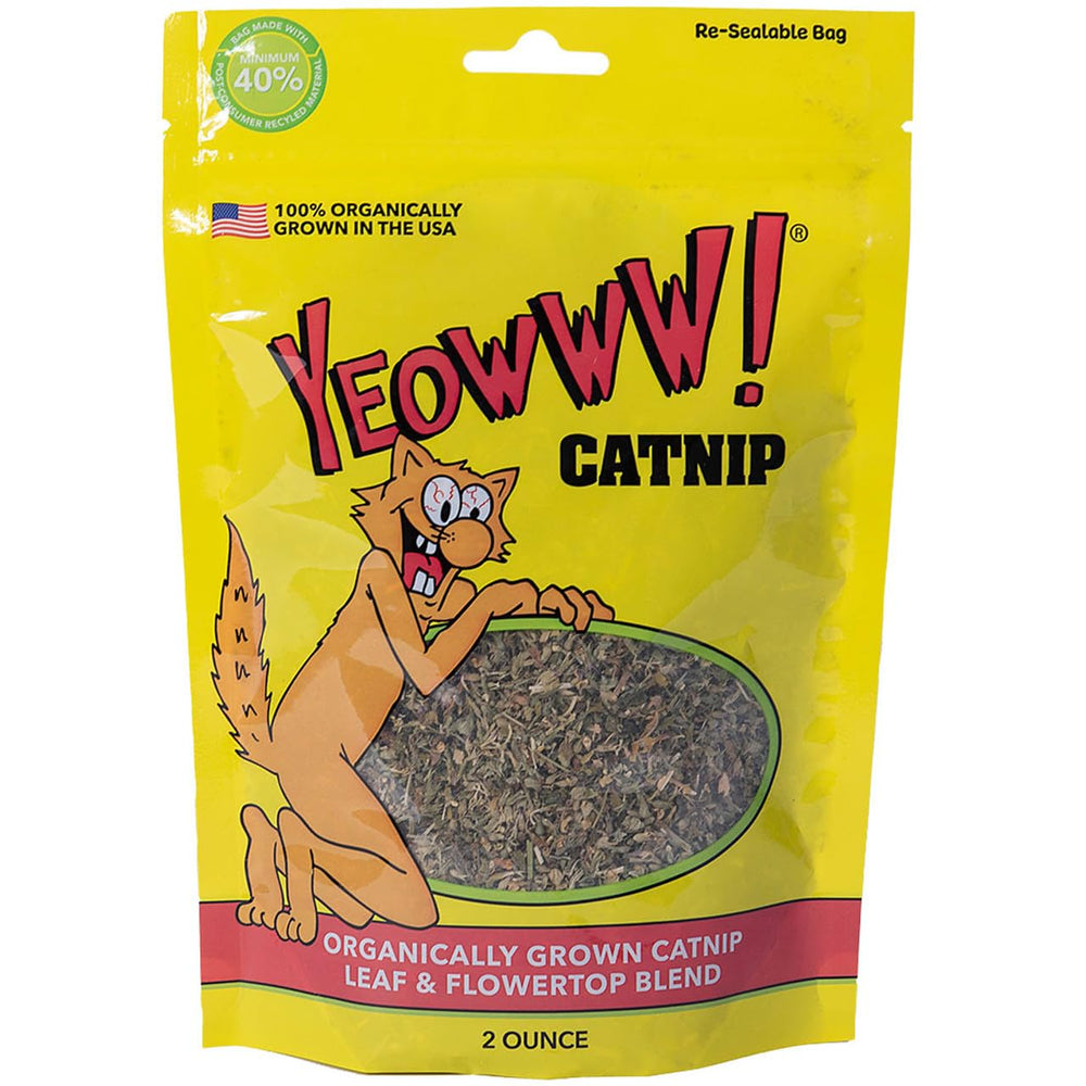 Yeowww! herbe à chat organique – feuilles et fleurs top, fraîche et puissante pour votre chat