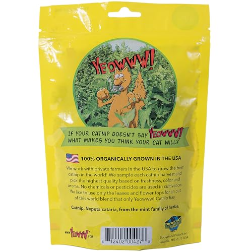 Yeowww! herbe à chat – sachet refermable, emballage écologique, pratique au quotidien
