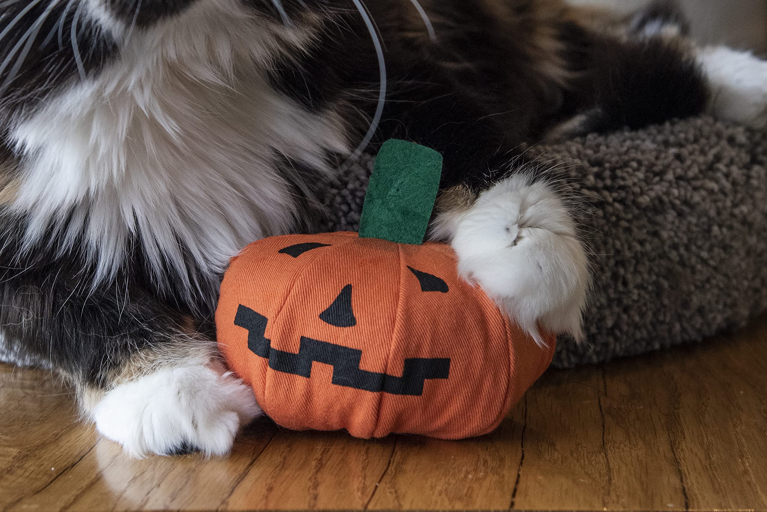Détails intérieurs du rembourrage catnip biologique Yeowww! pour une expérience sensorielle.