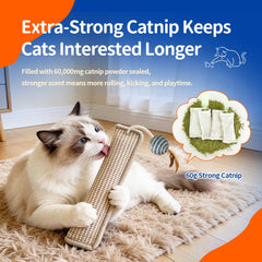 Yesibeike-couture-renforcee-chat-kicker résistance accrue pour les jeux mordants et griffades.