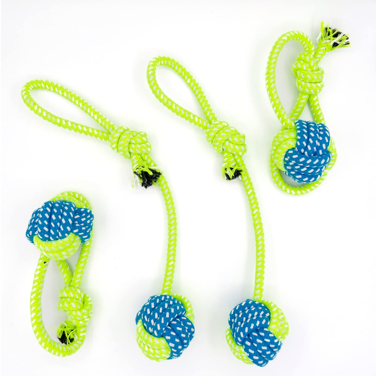 Jouet YESWOOD! Tug de guerre avec balle attachée, idéal pour petits chiens.