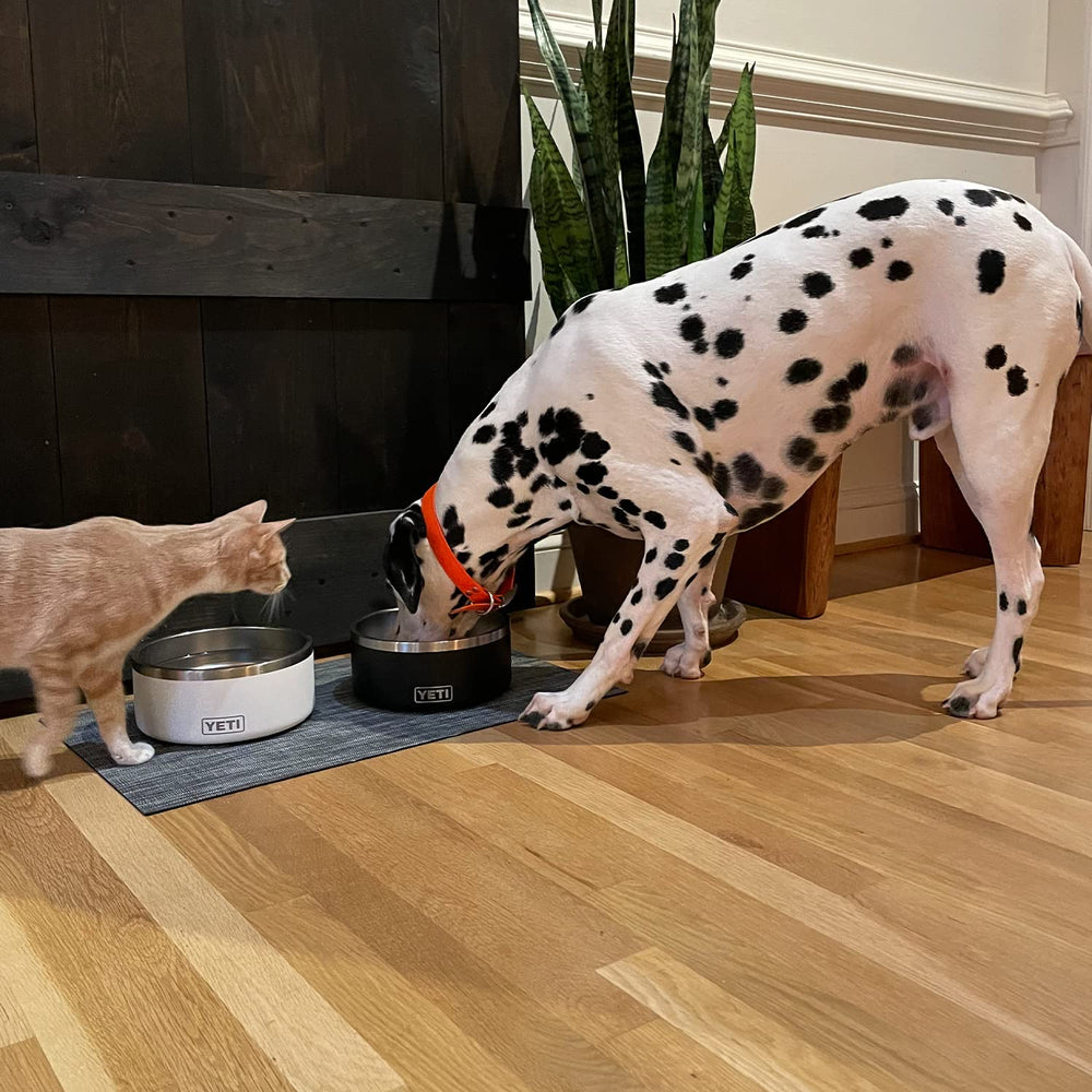 Utilisation quotidienne avec eau et croquettes grâce au Boomer 8