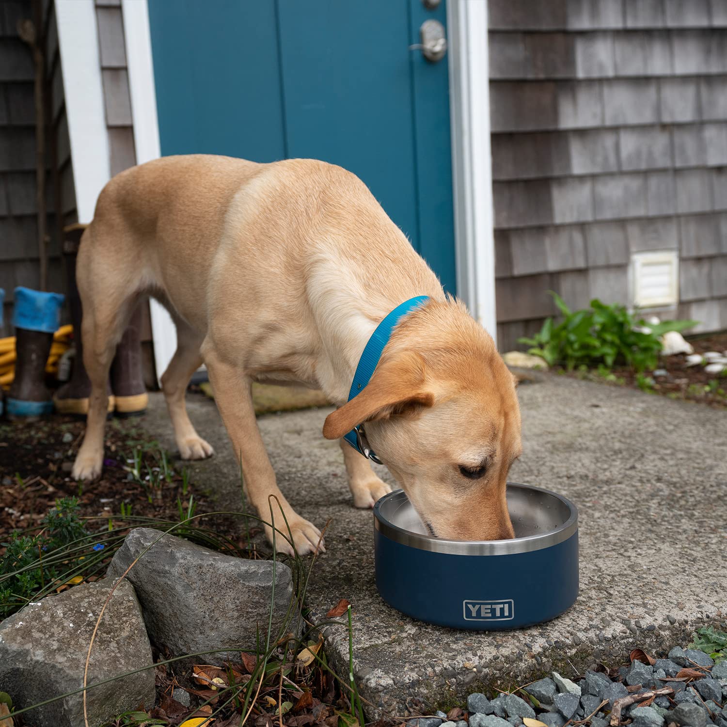 Design robuste YETI Boomer 8, parfait pour chiens actifs.