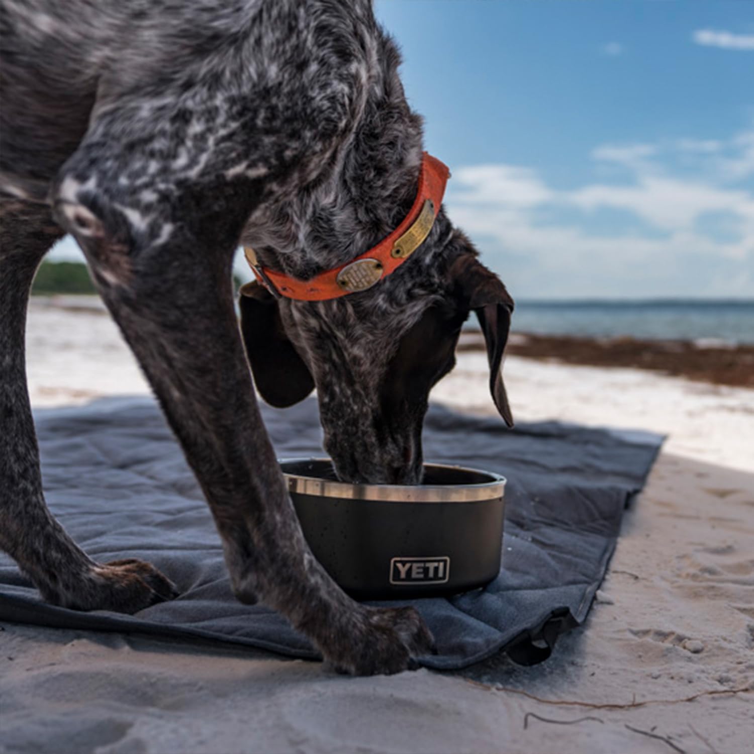 Utilisation quotidienne et voyages avec la gamelle YETI Boomer 8.