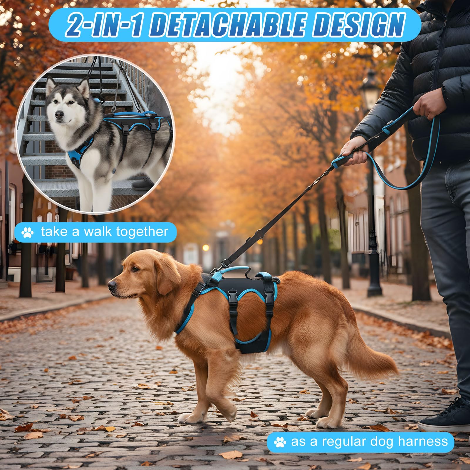 Harnais Yeyeplum confort-durable: matériaux résistants pour chiens de grande taille