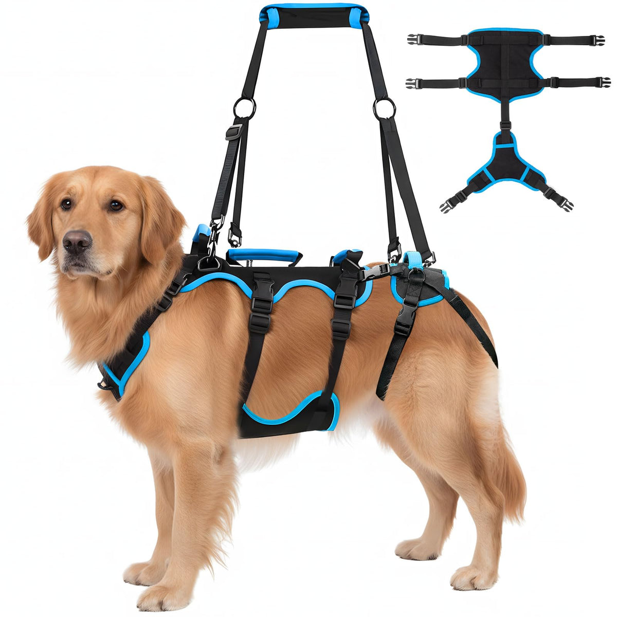 Harnais Yeyeplum levage-chien-grand 4 poignées: transfert facilité et sécurisé