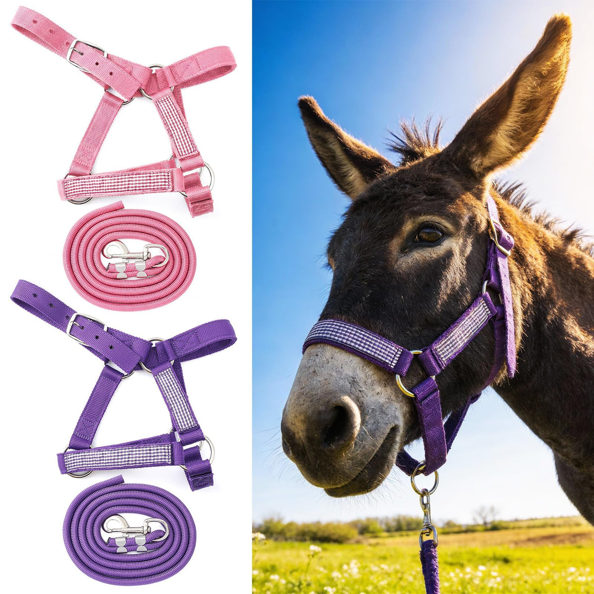 Licol Yeyeplum mini-donkey rose-pourpre, pratique pour l'entraînement en douceur.