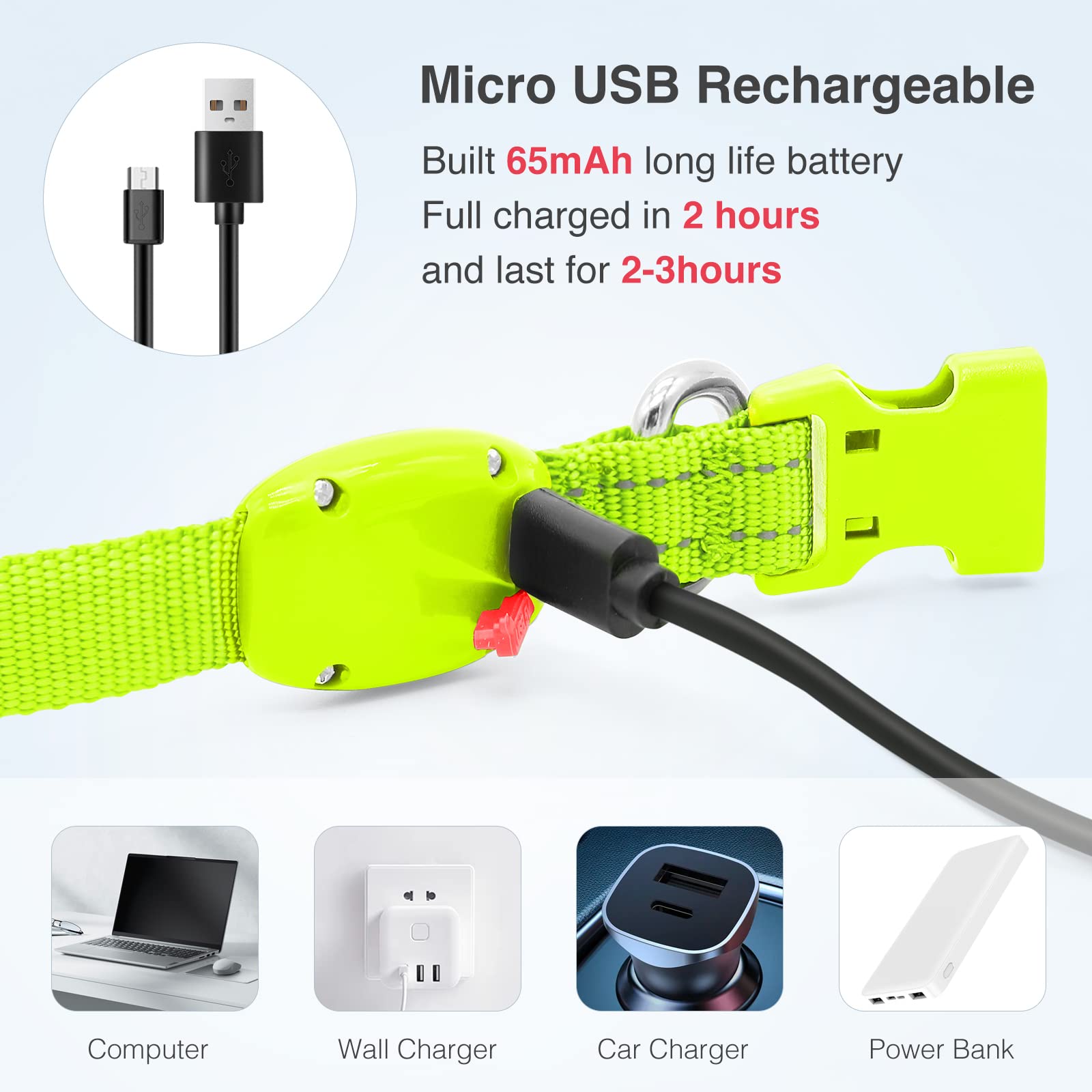 Collier LED YFbrite, boucle réglable et D-ring robuste pour la laisse.