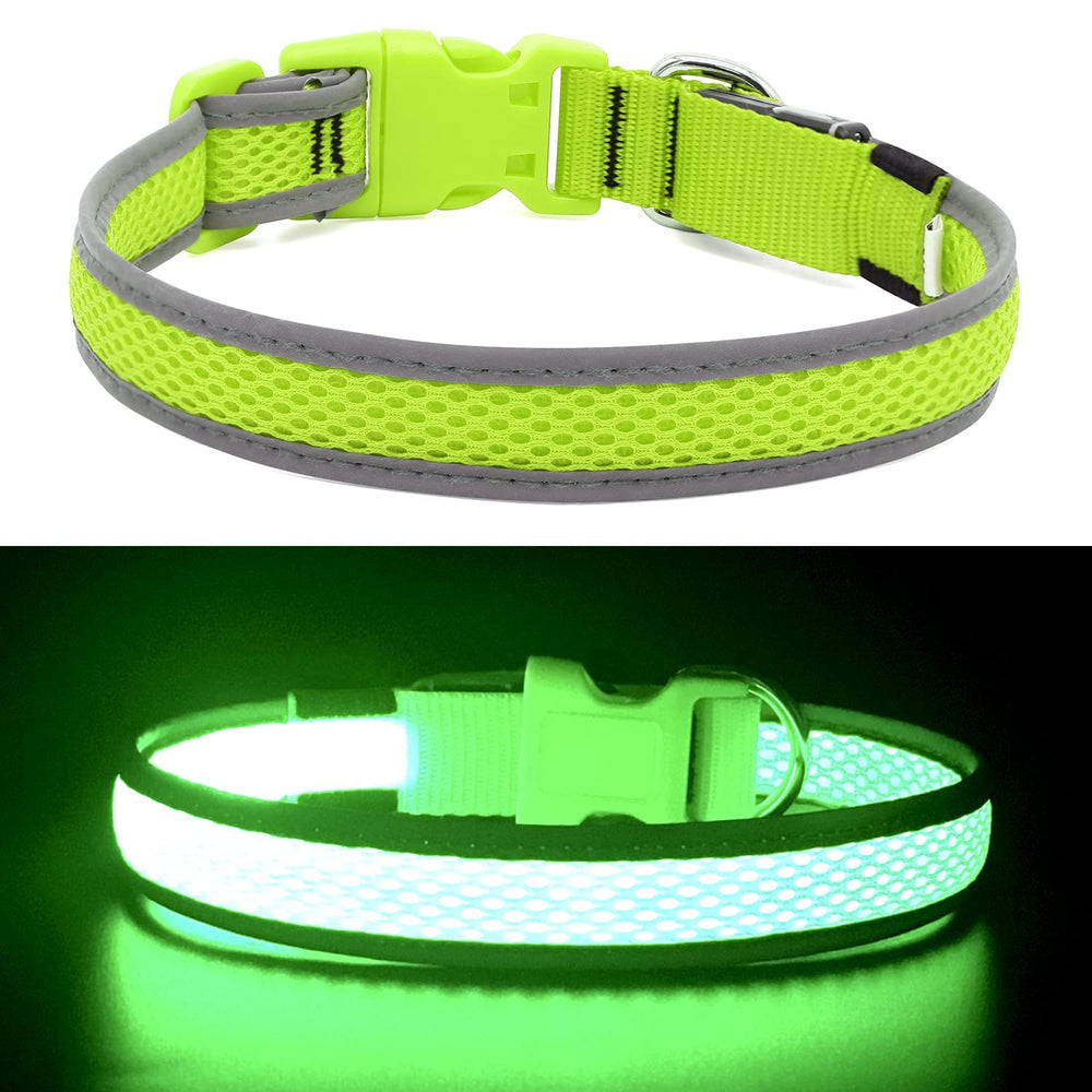 Collier lumineux YFbrite vert XS, parfait pour sorties tout-terrain et promenade.