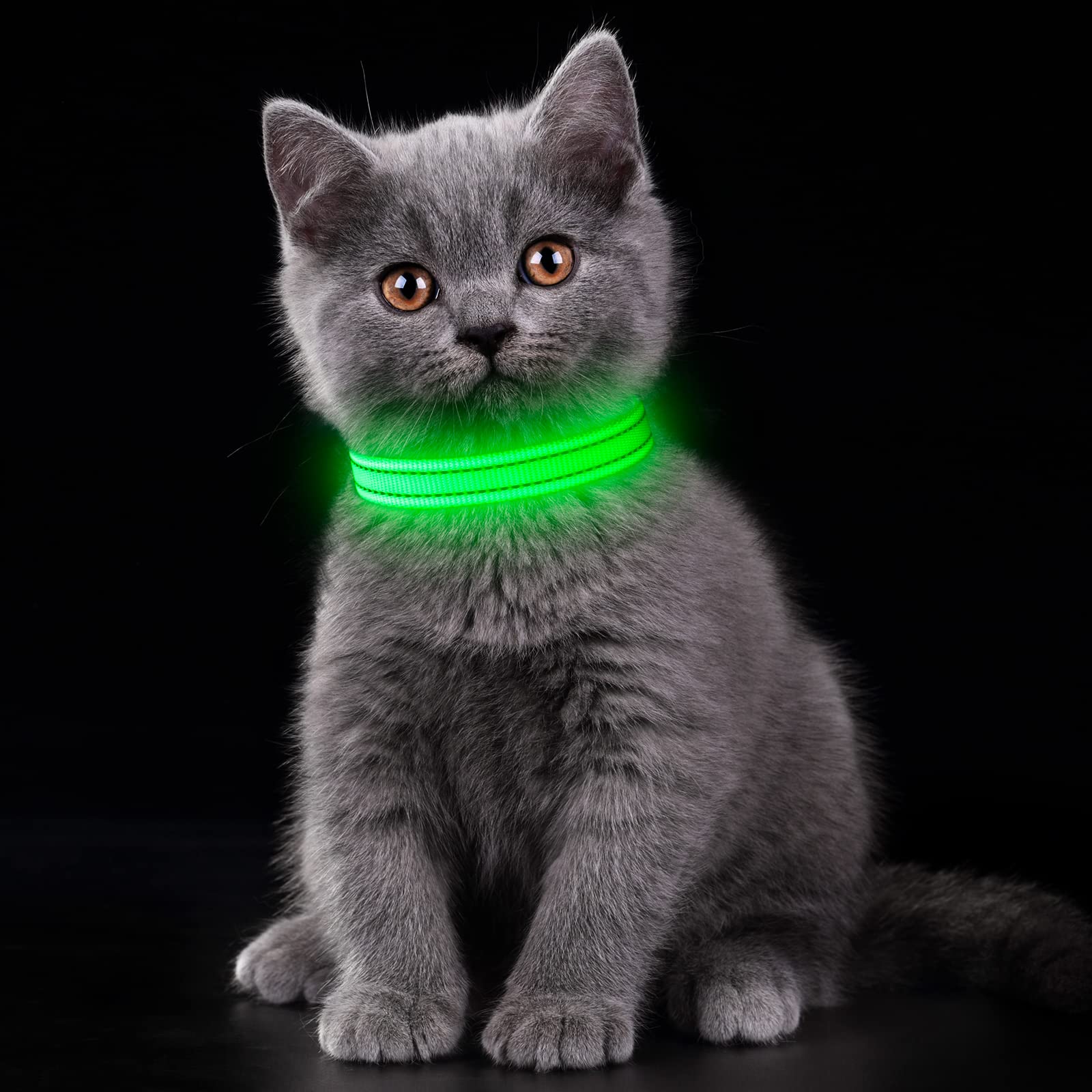 Collier YFbrite LED vert XS, utilisation nocturne sécurisée et pratique.