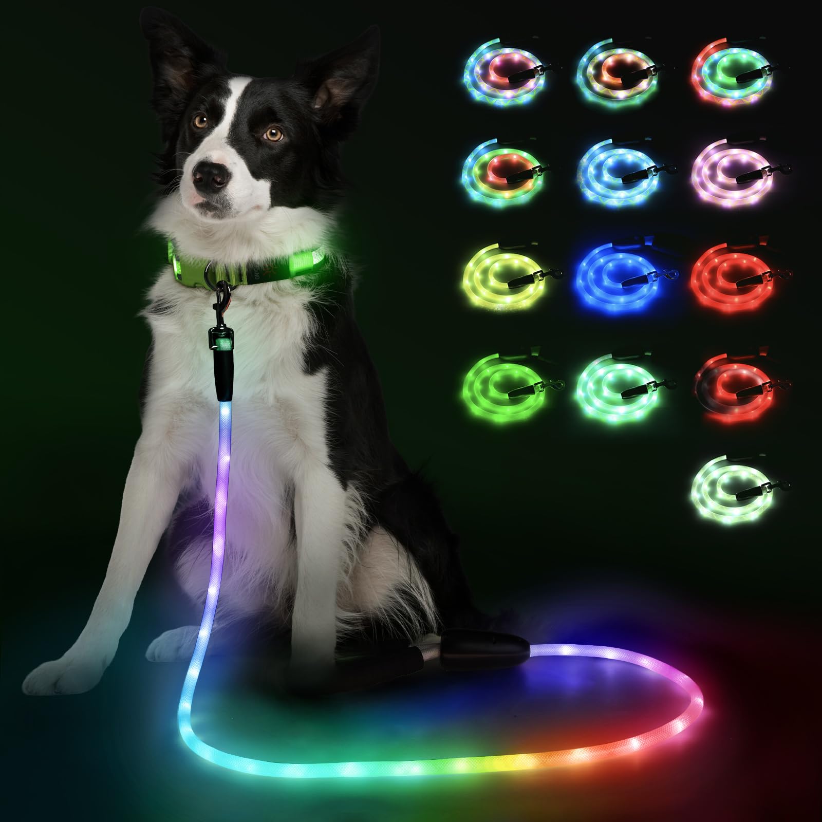 Laisse lumineuse YFbrite de 6 pieds pour une visibilité nocturne.