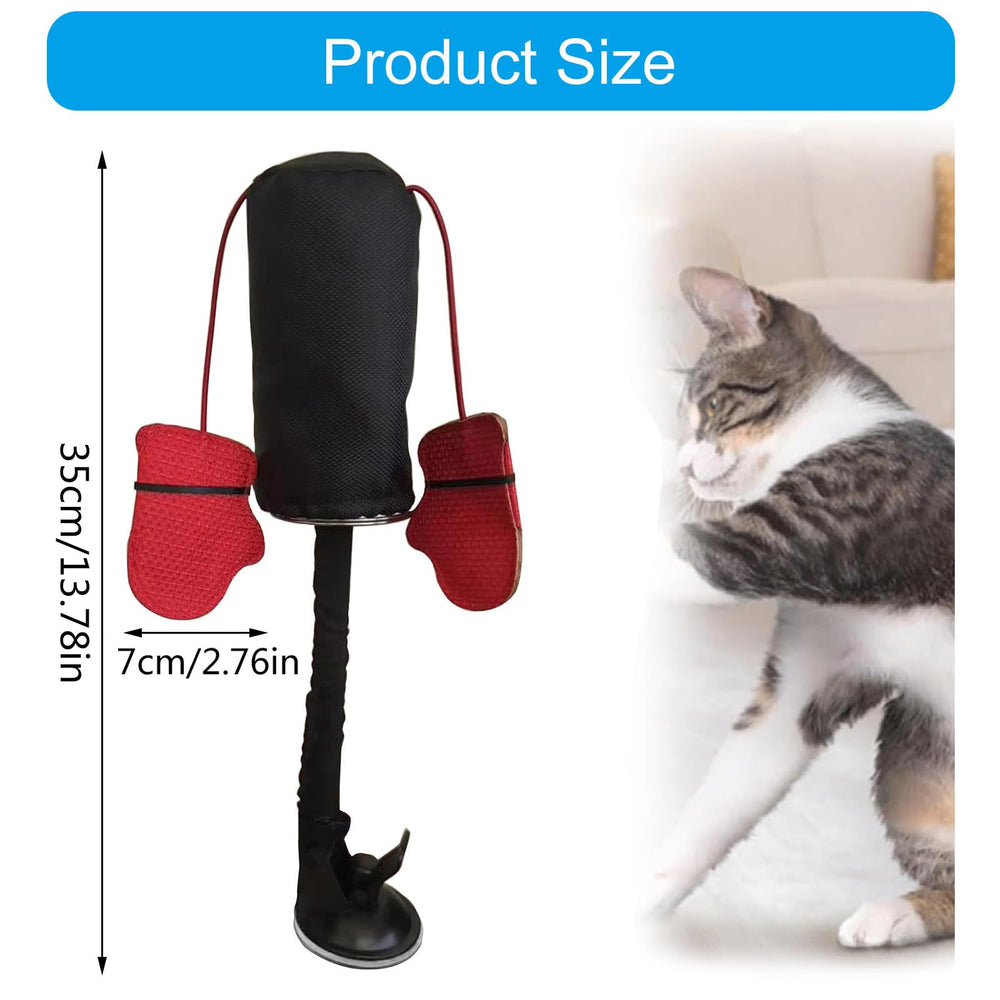 Joueur chat utilisant un jouet interactif divertissant et actif.