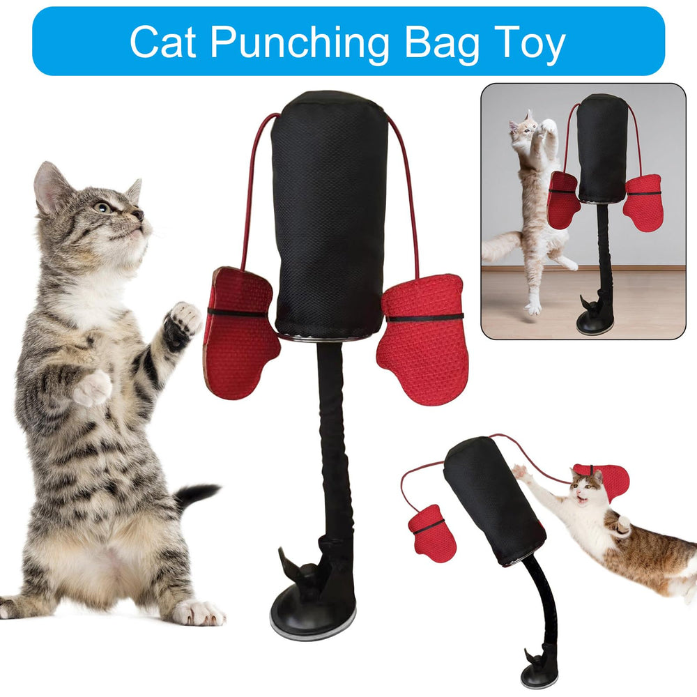 Rangement et entretien faciles du jouet pour chat.