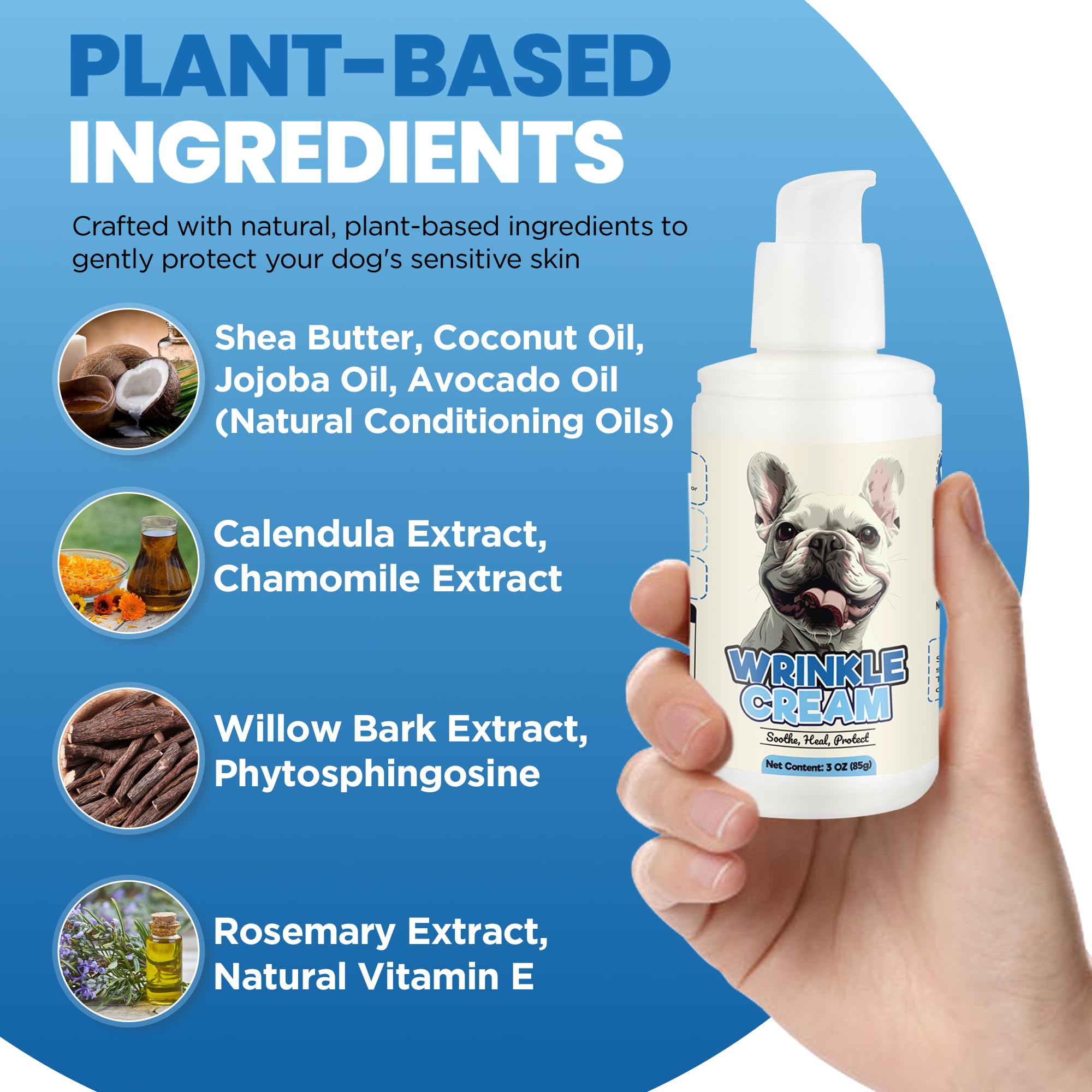Routine soin-chien Yibesi simplifie l’hydratation quotidienne et le confort.