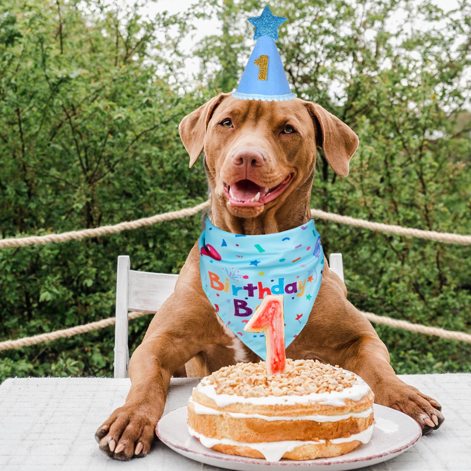 Accessoires fête chien Yicostar, faciles à porter et adaptés pour personnaliser l'événement.