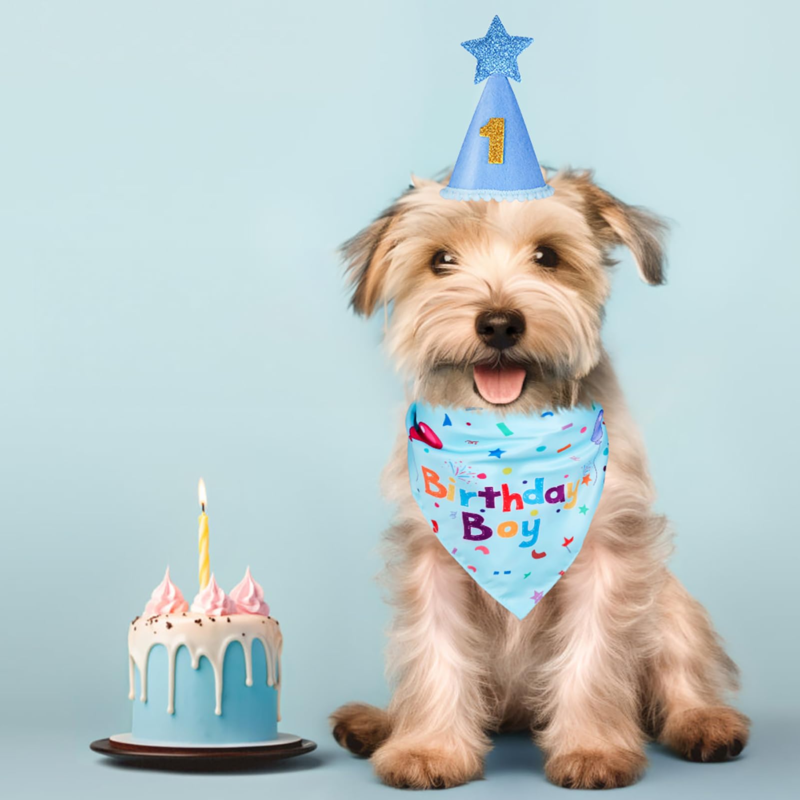 Accessoires fête chien Yicostar, ajoutant charme lors des célébrations
